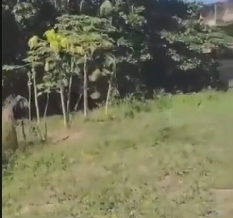 Reportagem exclusiva sobre o Igarapé Judia em Senador Guiomard