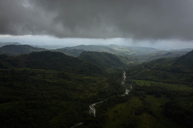 O Carbono como Moeda Política na Amazônia: Entre a Crise Climática e a Soberania Nacional